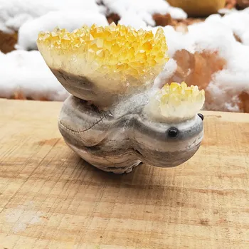 Mão feita de Cristal de cluster tartaruga amarela Natural de Quartzo cluster tartaruga cristais de Cura reiki Cinzeladura de pedra preciosa, Carpisa 500g