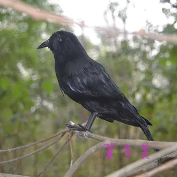bonito preto simulação corvo brinquedos realistas nova do corvo modelo de boneca de presente de cerca de 25cm